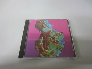 New Order/Technique UK盤オリジナルCD FACD275 シンセポップ ポストパンク ネオサイケ Joy Division Warsaw Be Music The Other Two