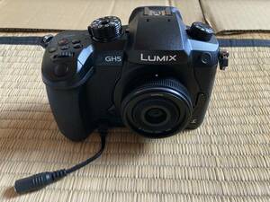 セガ　プリクラ　ララミー用デジタルカメラ　LUMIX GH5　ACアダプタ　DMW-AC10・