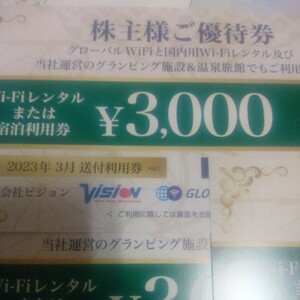 ビジョン株主優待券 3000円×1枚