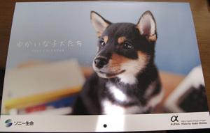 「ゆかいな子犬たち」　　2023年カレンダー　　ソニー生命　　