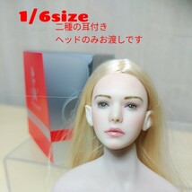 中古1/6size二種耳付きワンダリー製『アヴァ』ヘッドのみお渡しです★ファイセンTBleagueのシームレスアクションフィギュア素体用にどうぞ_画像1