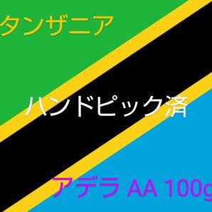 2．オープン記念セール コーヒー 珈琲 生豆 タンザニア アデラAA 小分け 100g ハンドピック済 即焙煎可