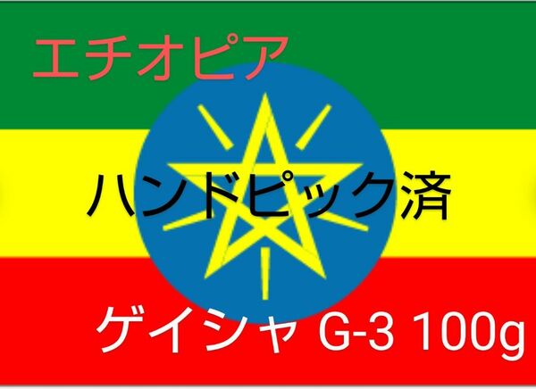 3．オープン記念セール コーヒー 珈琲 エチオピア ゲイシャG‐3 小分け 100g ハンドピック済 即焙煎可