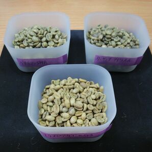 4.オープン記念セール コーヒー 珈琲 生豆 飲みくらべ セット グアテマラSHB アデラAA ゲイシャG‐3 合計300gセット