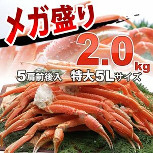 【12個出品】 ボイル ズワイガニ 約 2kg 特大 5L 極上品 さんきん1円