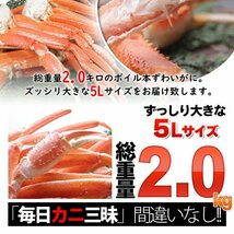 【18個出品】 ボイル ズワイガニ 約 2kg 特大 5L 極上品 さんきん1円_画像3