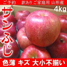 2個出品 予約 訳あり ご家庭用 山形産 サンふじ りんご 色薄 キズ 大小不揃い 4kg 12月上旬頃から順次出荷予定 さんきん 1円_画像1