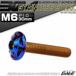 SUS304 フランジ付き ボタンボルト M6×30mm P1.0 六角穴 焼きチタン色 スターホールヘッド ステンレス ボルト TR0251