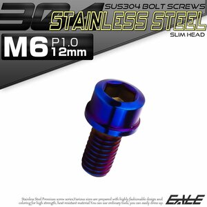 キャップボルト M6×12mm P1.0 六角穴付きボルト スリムヘッド 焼きチタンカラー カスタムボルト ステンレス製 TB1096