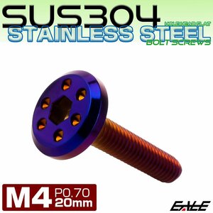 ステンレスボルト M4×20mm P0.7 ホールヘッド フラット 六角穴付 ボタンボルト SUS304 焼きチタンカラー TR0971