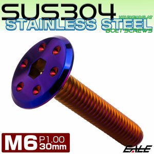 ステンレスボルト M6×30mm P1.0 ホールヘッド フラット 六角穴付 ボタンボルト SUS304 焼きチタンカラー TR0982