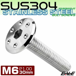 ステンレスボルト M6×30mm P1.0 ホールヘッド フラット 六角穴付 ボタンボルト SUS304 シルバー TR0950