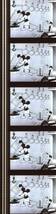 蒸気船ウィリー 35mm映画フィルム ミッキーマウス ミニーマウス オズワルド ウォルトディズニー Walt Disney ★連続5コマ STEAMBOAT WILLIE_画像2