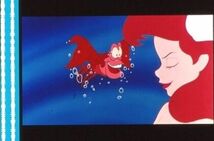 リトルマーメイド 35mm映画フィルム ウォルトディズニー アリエル セバスチャン スカットル アースラ ■連続５コマ THE LITTLE MERMAID_画像1