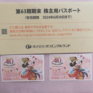 2024年6月末期限　東京ディズニーリゾート　チケット　ペア　2枚　新品未使用　株主優待　送料無料