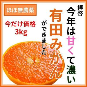 【有田より産地直送】高いコスパ！数量限定！甘い 有田みかん3kg 早生