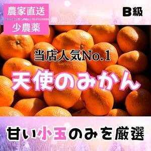 訳あり!甘い!小さいサイズ!B級 小玉の天使のみかん 有田みかん3kg　最高級　早生