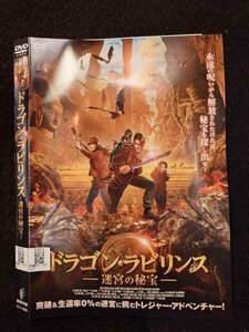 ○016658 レンタルUP◆DVD ドラゴン・ラビリンス －迷宮の秘宝－ 0989 ※ケース無