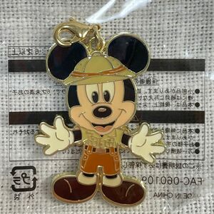 ミッキー チャーム ジャングルカーニバルジヤンカニ 景品ディズニーディズニーランドクリスマス アドベントカレンダー