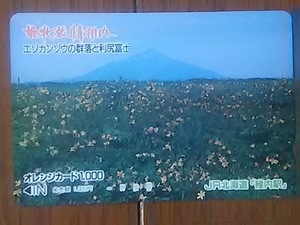 【使用済】　最北旅情稚内　エゾカンゾウの群落と利尻富士