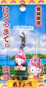 ■ Редкий 2002 Hello Kitty Hello Kitty Miyagi Limited Zao Summit Harokite Sanriku Special Selection Oyster Pink Zipper Талисман Nascan Holder