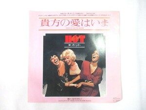 【214】『 EP　見本盤　非売品　貴方の愛はいま / 強くなりたい　ホット HOT　P-455A 』