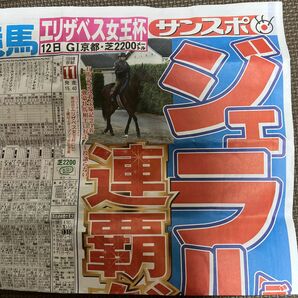 エリザベス女王杯2023 京都競馬場で配ってた新聞 新聞 競馬
