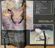 BIBLE Ⅳ　爬虫類・両生類バイブル　アクアマガジン　松坂實　フェア・ウインド　トカゲ　ヘビ　カメ_画像3