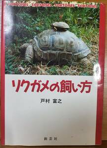 リクガメの飼い方　戸村 富之 (著)