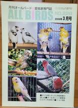 ALL BiRDS 月間オールバード　愛鳥家専門誌　2006年3月号_画像1