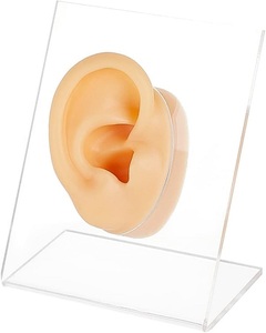 シリコン模型 　耳模型　耳モデル