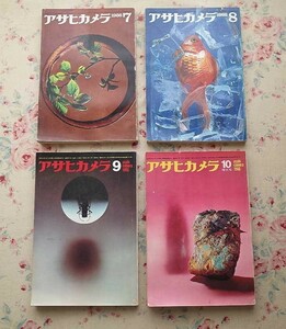 99197/雑誌 アサヒカメラ 4冊セット 1966年 朝日新聞社 田淵行男 田沼武能 森永純 田中光常 大型カメラのすすめ 土門拳 北代省三 石元泰博