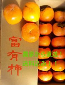 ★富有柿発祥の地より直送★岐阜県産　富有柿　家庭用　4.5キロ　送料無料(北海道沖縄離島除く)で簡単購入◎