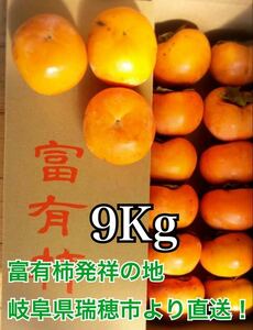 【富有柿】【9Kg】富有柿発祥の地、岐阜県瑞穂市より農家直送　こ家庭用　送料無料(北海道、沖縄、離島除く)で簡単購入