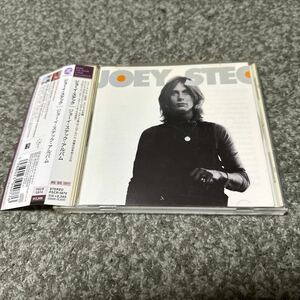 Joey Stec 「Joey Stec Album」国内盤　ジョーイ・ステック