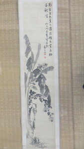 書画 掛軸 水墨画 香谷菊蕉 絵画 落款 肉筆 真作 道具 茶道具 茶掛け 絹本 40×171㎝ アンティーク ビンテージ