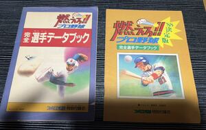  Famicom сообщение дополнение брошюра гореть . Professional Baseball совершенно игрок данные книжка 2 шт. комплект 