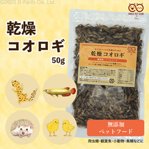 乾燥 コオロギ 50g (約500匹～600匹)イエコオロギ 食用 爬虫類 観賞魚 小動物 鳥類の餌に_画像2