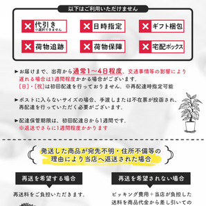 ひのき オイル 50ml アロマ アロマオイル 精油 天然100% 国産 ヒノキ オイル 油 エッセンシャルオイル 檜 入浴 お風呂 防虫対策にもの画像7