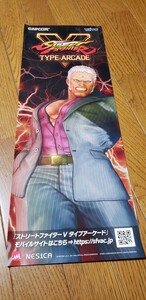  Capcom Street Fighter Vyu Lien tanzaku poster 