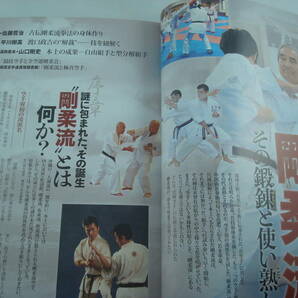 送料無料★月刊 秘伝 2019/11 This is GOJU-RYU Karate! 剛柔流 剛琉館・佐藤哲治 尚禮舘・平川樹高 全日本空手道剛柔会・山口剛史の画像3