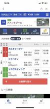 11月限定価格！　必見！AI競馬予想同等、それ以上の予想を作成可能！　　_画像2