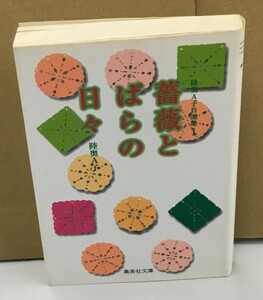 K1110-09　薔薇とばらの日々　陸奥 A子　集英社　発行日：1996年7月23日第1刷