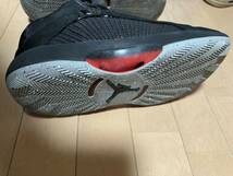 NIKE Air Jordan 35 29cm 八村塁モデル_画像3