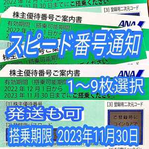 期限注意 5分スピード通知 ANA 全日空 株主優待券 1枚/2枚/3枚/4枚/5枚/6枚/7枚/8枚/9枚 国内 航空券 搭乗期限23年11月末まで(24b