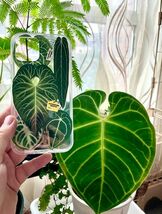 【iphone 13 Pro】熱帯植物 スマホケース 観葉植物 希少 インテリア プレゼント 海外 おすすめ 人気 デザイン_画像8