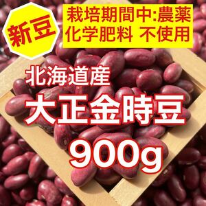北海道産 大正金時豆900g(栽培期間中:農薬 化学肥料不使用)