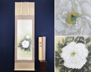 Art hand Auction Shinsaku/Kuzuki Suzuko/Pfingstrosenzeichnung/Blumenzeichnung/Knopfzeichnung//Hängerolle☆Schatzschiff☆AD-730, Malerei, Japanische Malerei, Blumen und Vögel, Vögel und Tiere