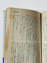 美畜図鑑　国際線スチュワーデス　由紀かほる　日本出版社　平成元年初版_画像9