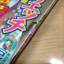 ヤングアニマル嵐 2006 No.2 福永ちな 紋舞らん あいだゆあ ミニミニ袋とじ写真集 甘詰留太 克・亜樹_画像9